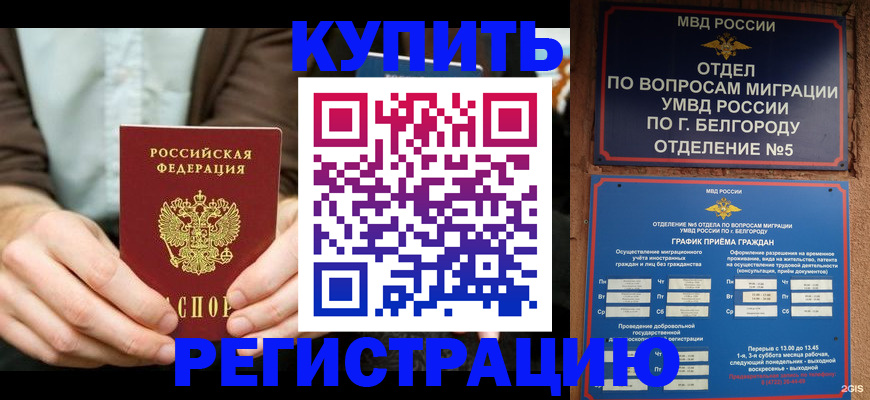 прописка 2025 в Балашове